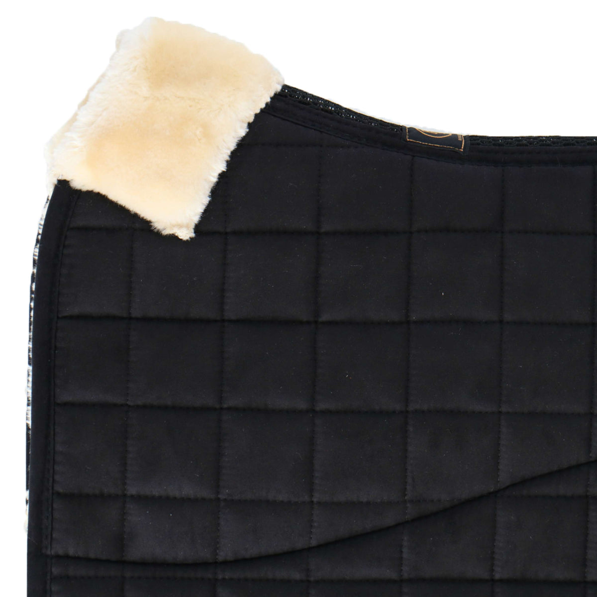 BR Sottosella Majeur II Dressage Nero