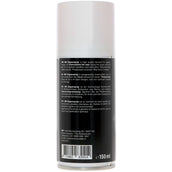 BR Spray per cerniere