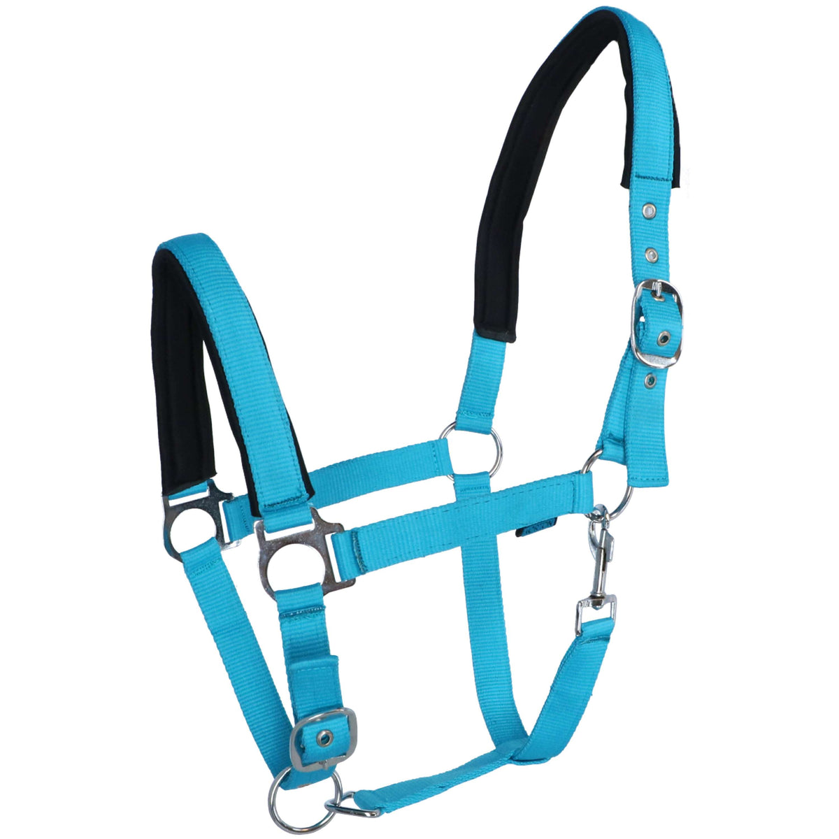 Norton Capezzina Fluo Blu