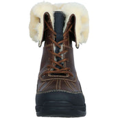 BR Stivali da Scuderia Roosky Marrone