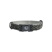Kentucky Dogwear Banda per cani Grigio