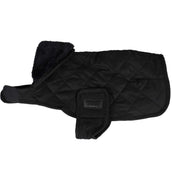 Kentucky Dogwear Cappotto per cani Nero