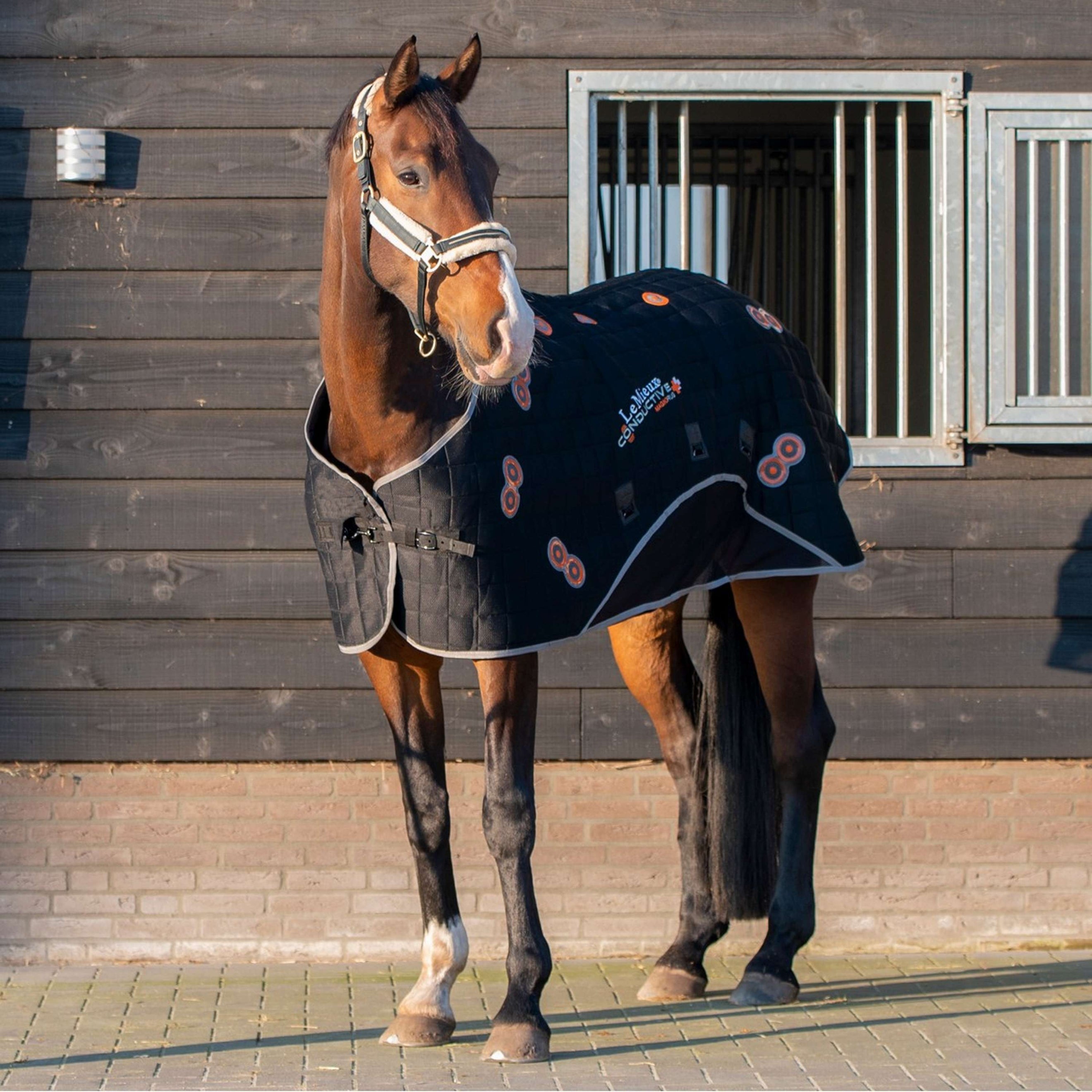 LeMieux Stivali Conductive Magnotherapy Nero