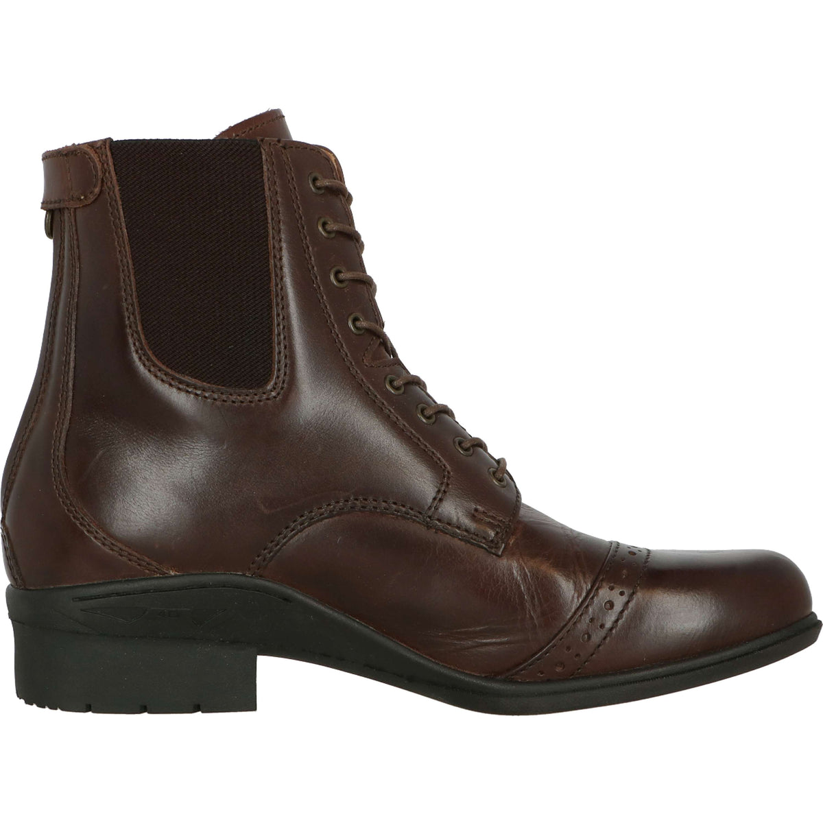 Mountain Horse Paddock Boots Aurora Back Zip Marrone