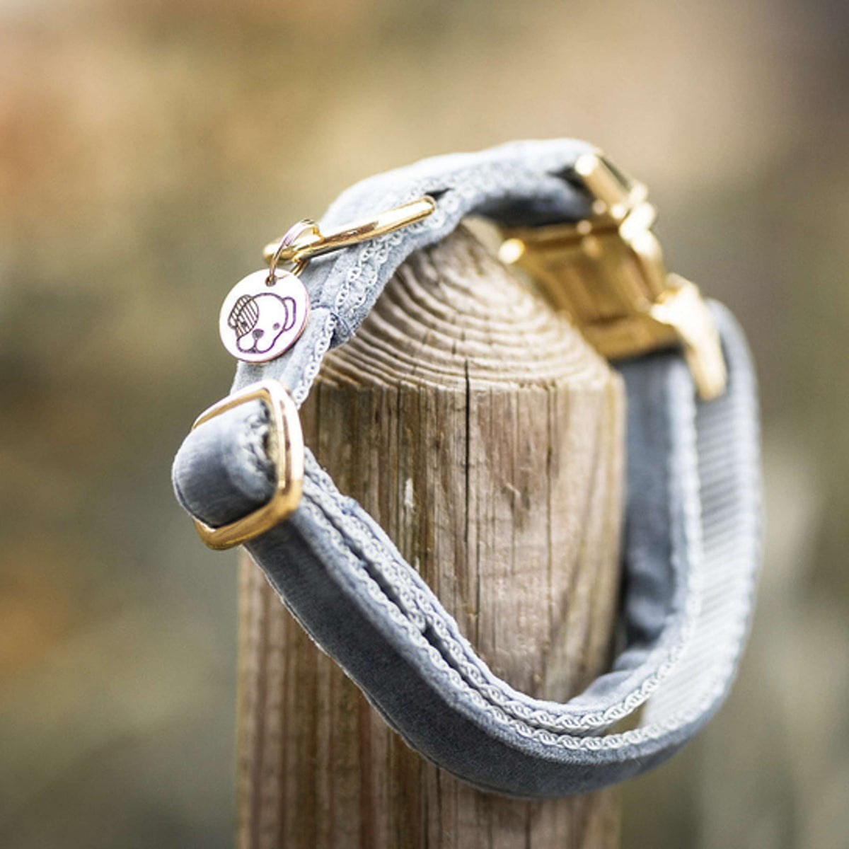 Kentucky Dogwear Halsband Velvet Azzurro