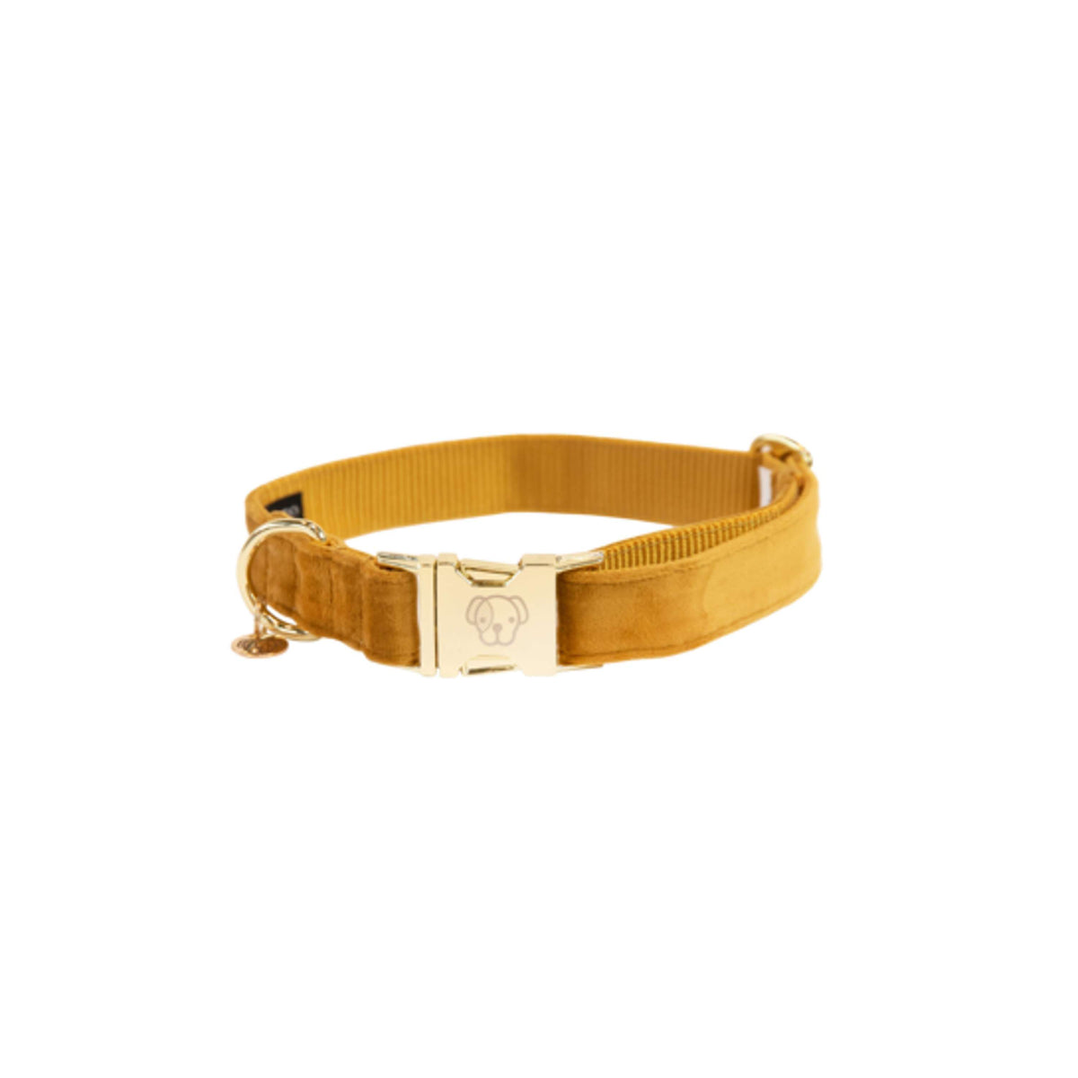 Kentucky Dogwear Halsband Velvet Senape