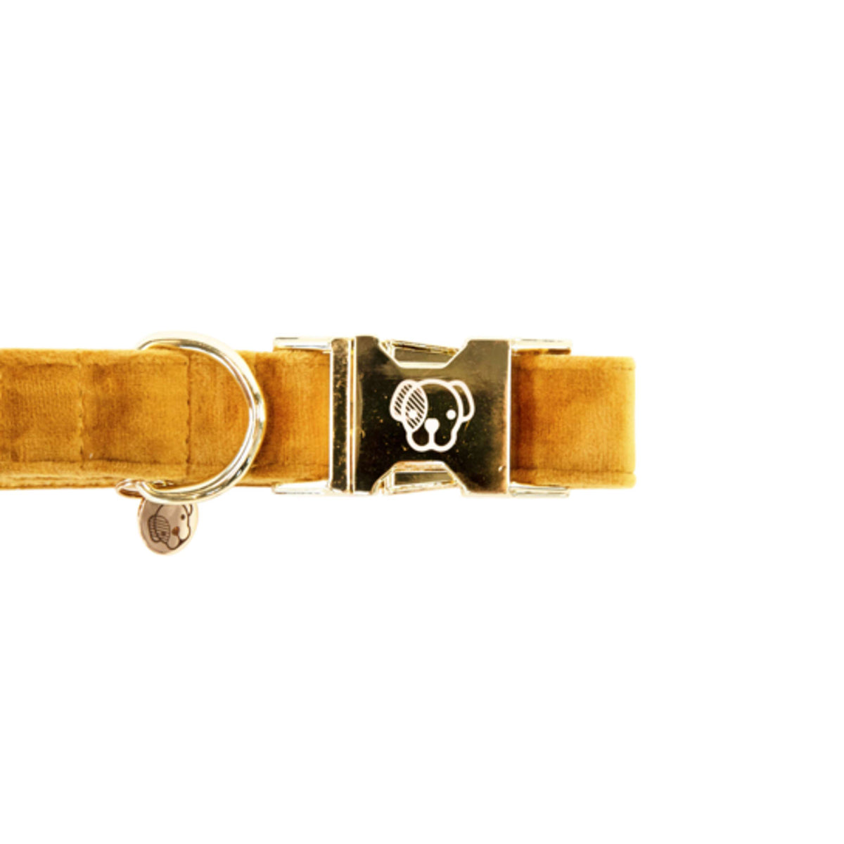 Kentucky Dogwear Halsband Velvet Senape