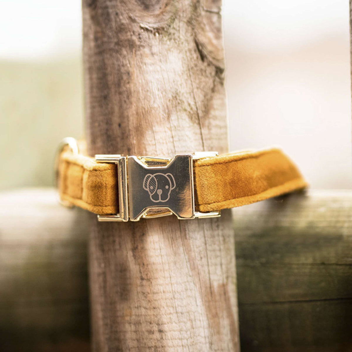 Kentucky Dogwear Halsband Velvet Senape