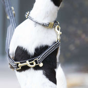 Kentucky Dogwear Guinzaglio per Cane Pied-de-Poule Nero