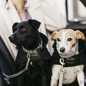 Kentucky Dogwear Guinzaglio per Cane Pied-de-Poule Nero