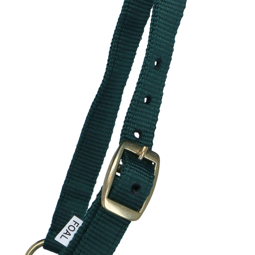 Norton Cavezza per puledro con Lunghina Verde scuro