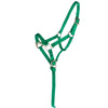 Norton Cavezza per puledro con Lunghina Verde chiaro