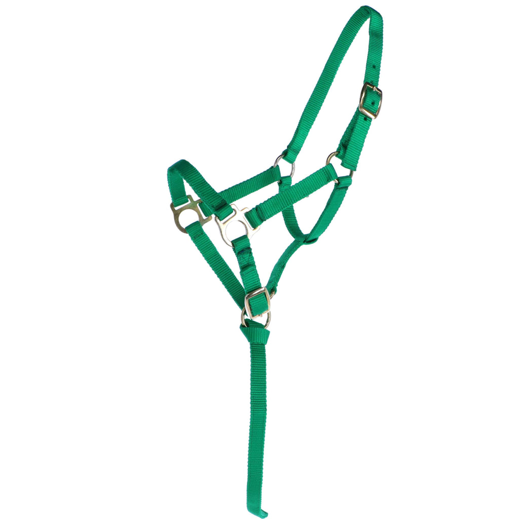 Norton Cavezza per puledro con Lunghina Verde chiaro