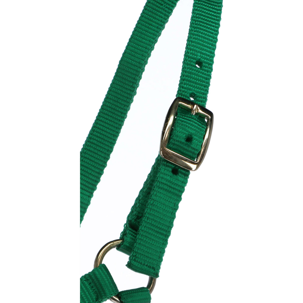 Norton Cavezza per puledro con Lunghina Verde chiaro