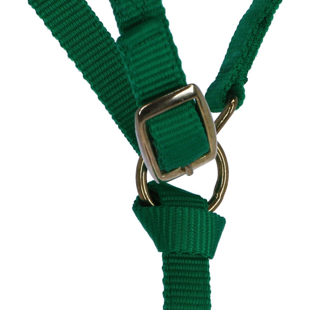 Norton Cavezza per puledro con Lunghina Verde chiaro