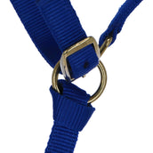 Norton Cavezza per puledro con Lunghina Blu reale