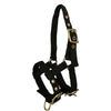 Norton Capezza Mini Regolabile Nero