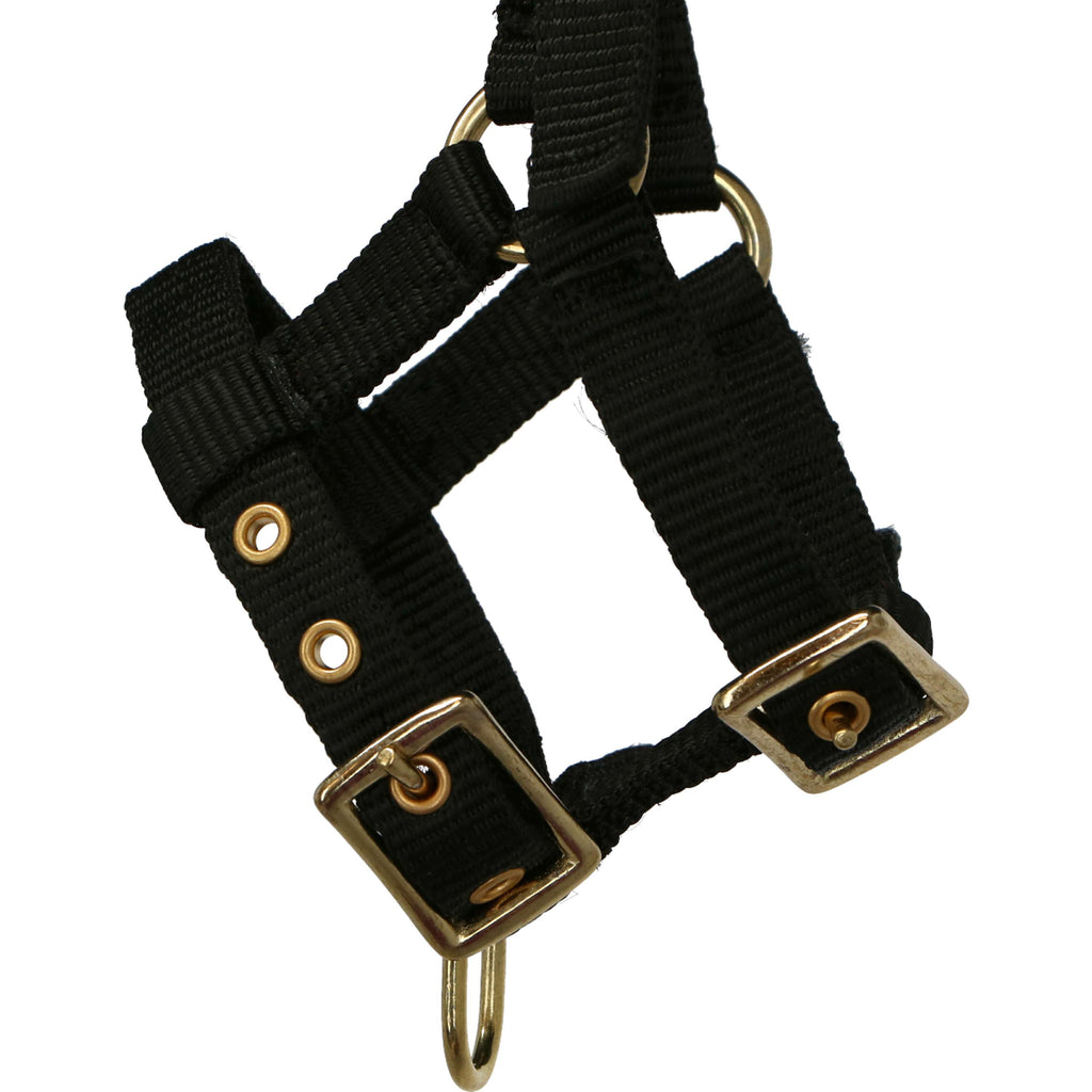 Norton Capezza Mini Regolabile Nero