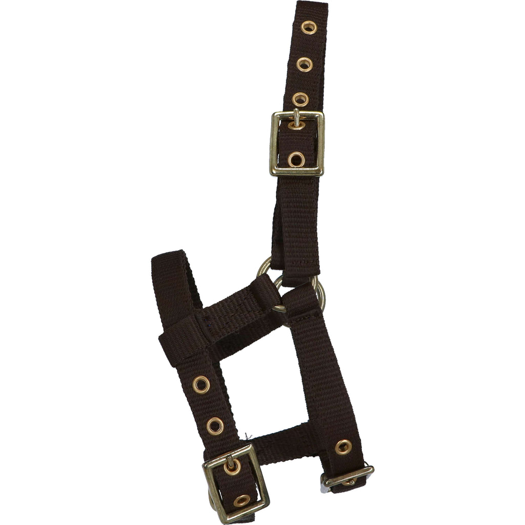 Norton Capezza Mini Regolabile Marrone