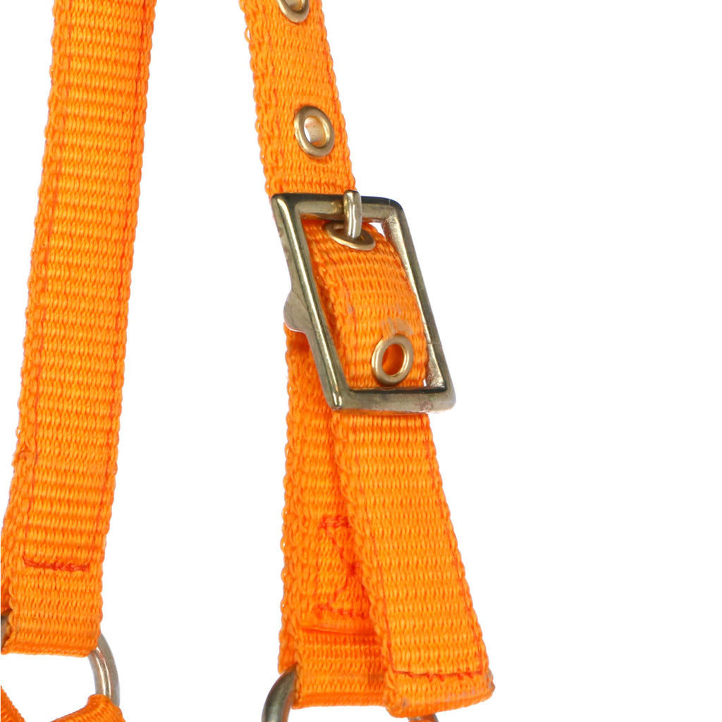 Norton Capezza Mini Regolabile Arancia