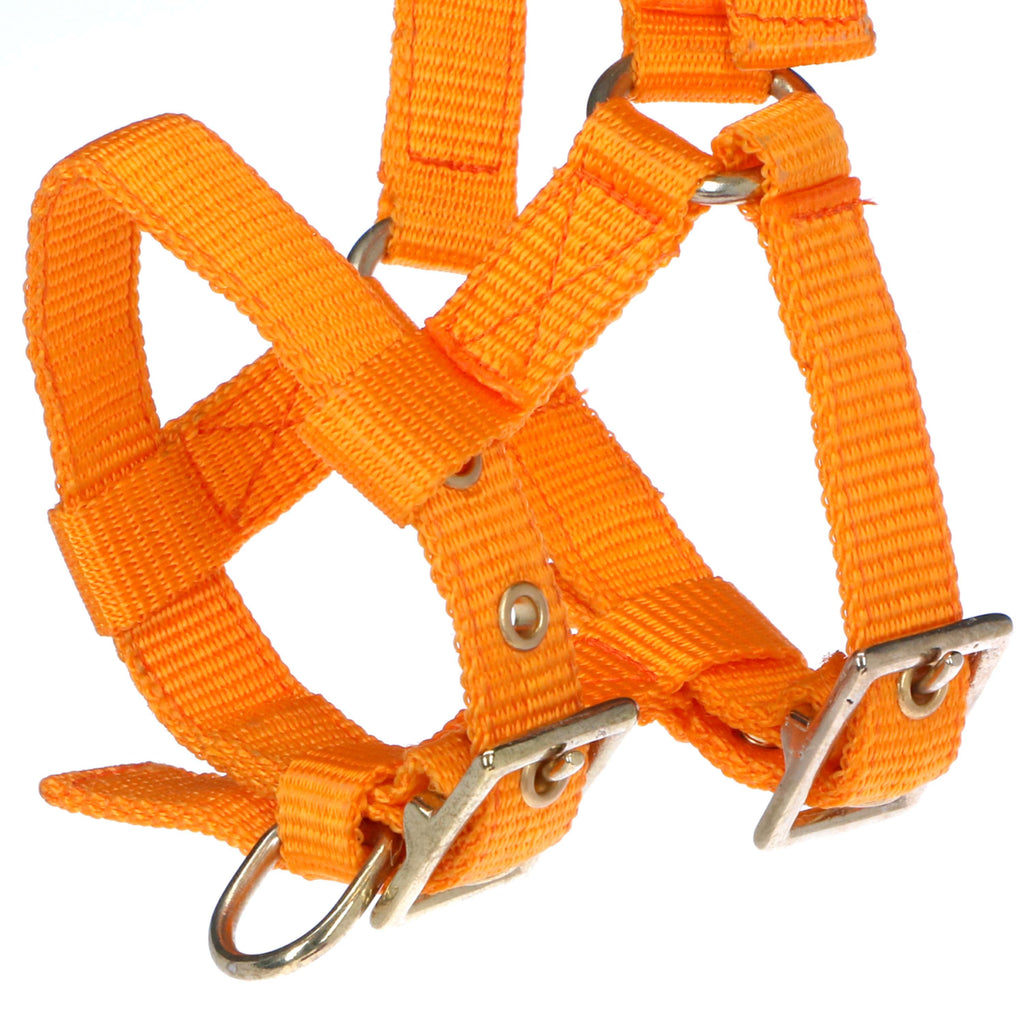 Norton Capezza Mini Regolabile Arancia