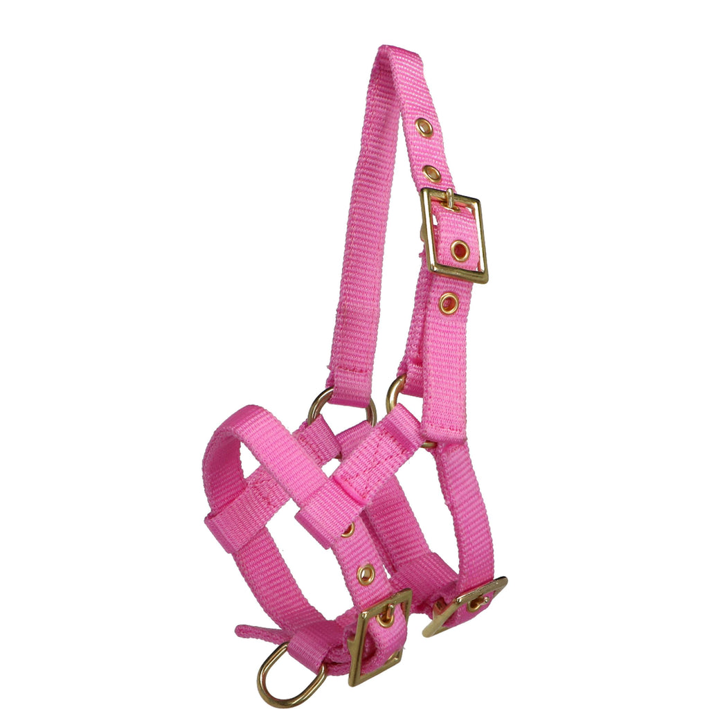 Norton Capezza Mini Regolabile Rosa