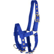 Blu reale