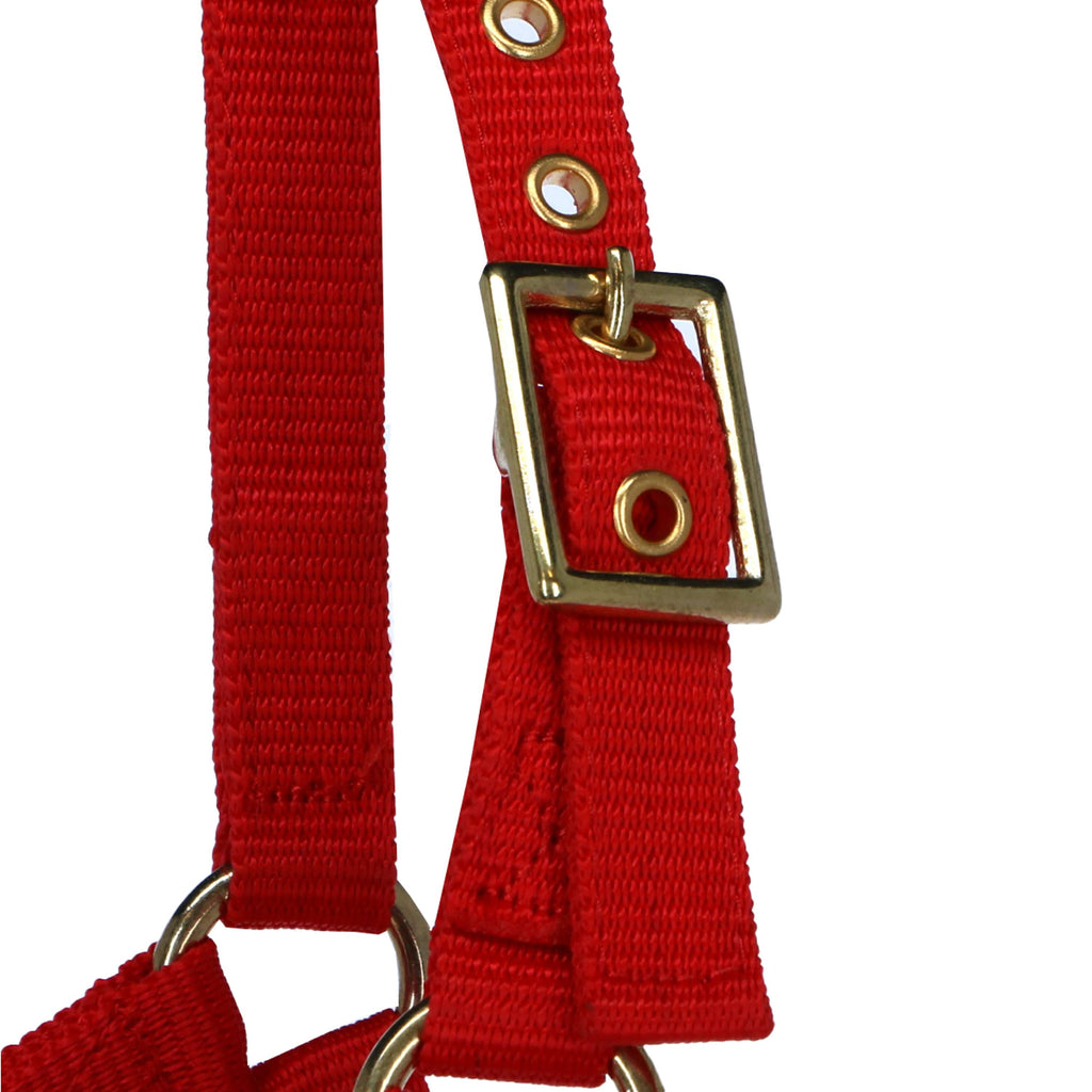 Norton Capezza Mini Regolabile Rosso