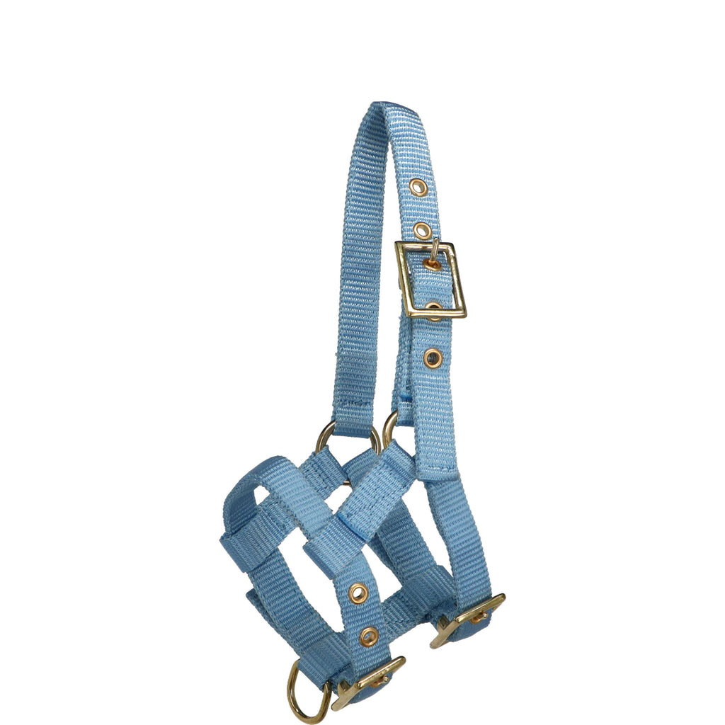 Norton Capezza Mini Regolabile Azzurro
