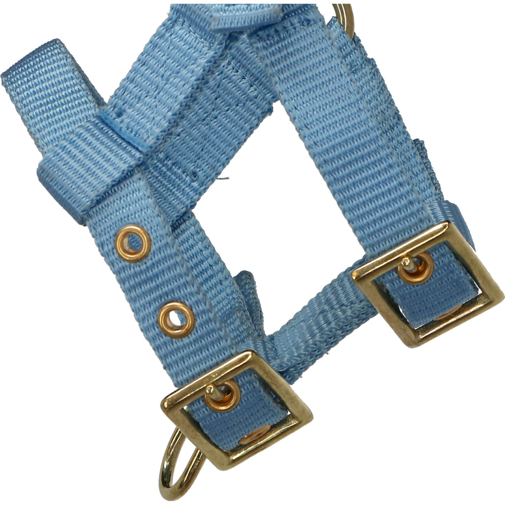 Norton Capezza Mini Regolabile Azzurro