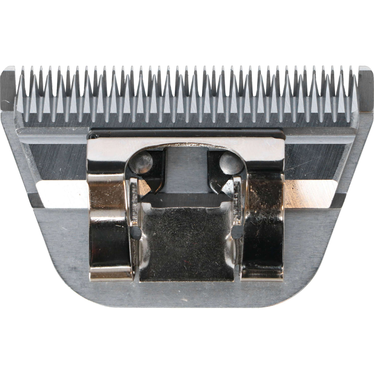 Heiniger Testina Tagliacapelli Voor Saphir Horse