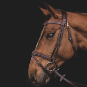Equiline Briglia JP Anatomisch Light Marrone
