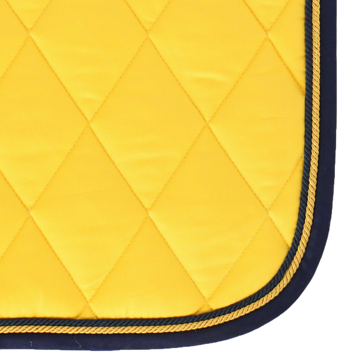BR Sottosella Event Cooldry Dressage Fresia