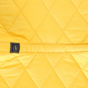 BR Sottosella Event Cooldry Dressage Fresia