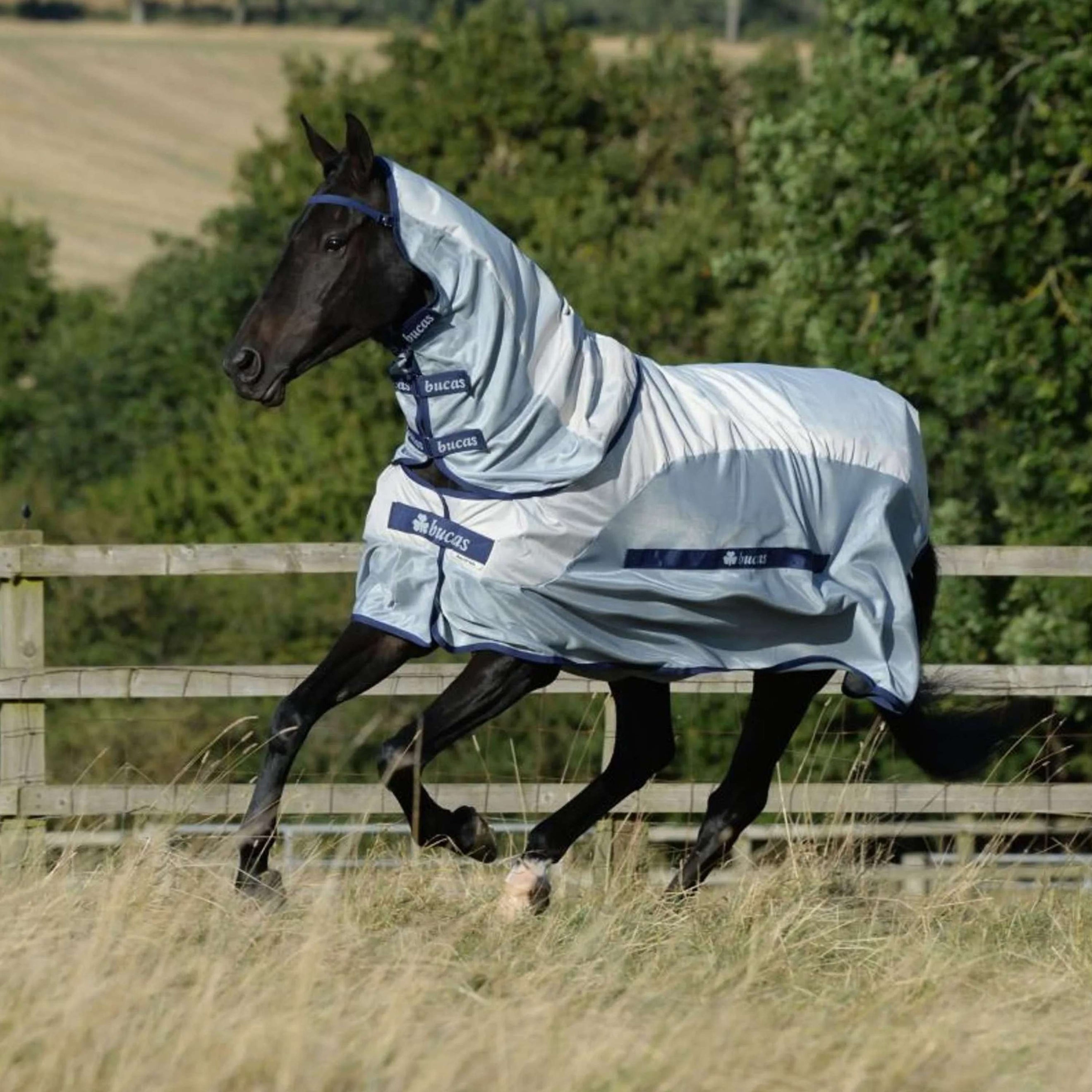 Bucas Buzz Off Rain & Neck 0g Argento/Blu Bucas Buzz Off Rain & Neck 0g Argento/Blu