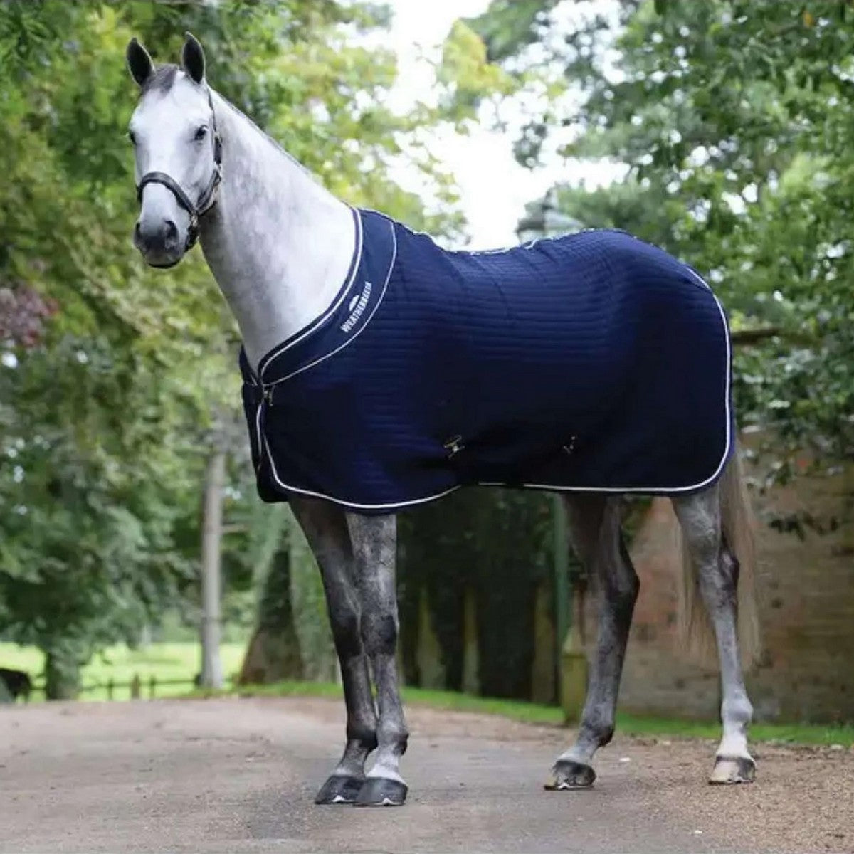 Weatherbeeta Tappeto Thermocell Cooler Standard Neck Blu marino/bianco
