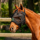 Agradi Horse Maschera per Mosche Fine Mesh Nero