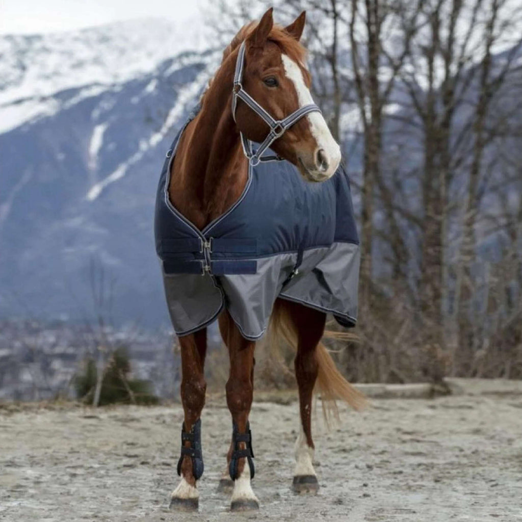 EQUITHÈME Coperta Impermeabile Tyrex 600D Punti blu scuro/grigi