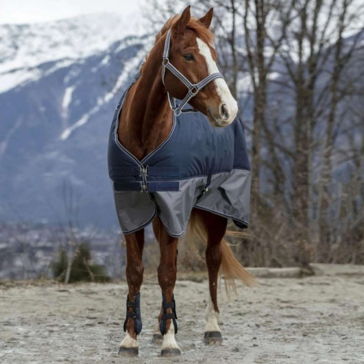 EQUITHÈME Coperta Impermeabile Tyrex 600D Punti blu scuro/grigi