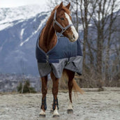 EQUITHÈME Coperta Impermeabile Tyrex 600D Punti blu scuro/grigi