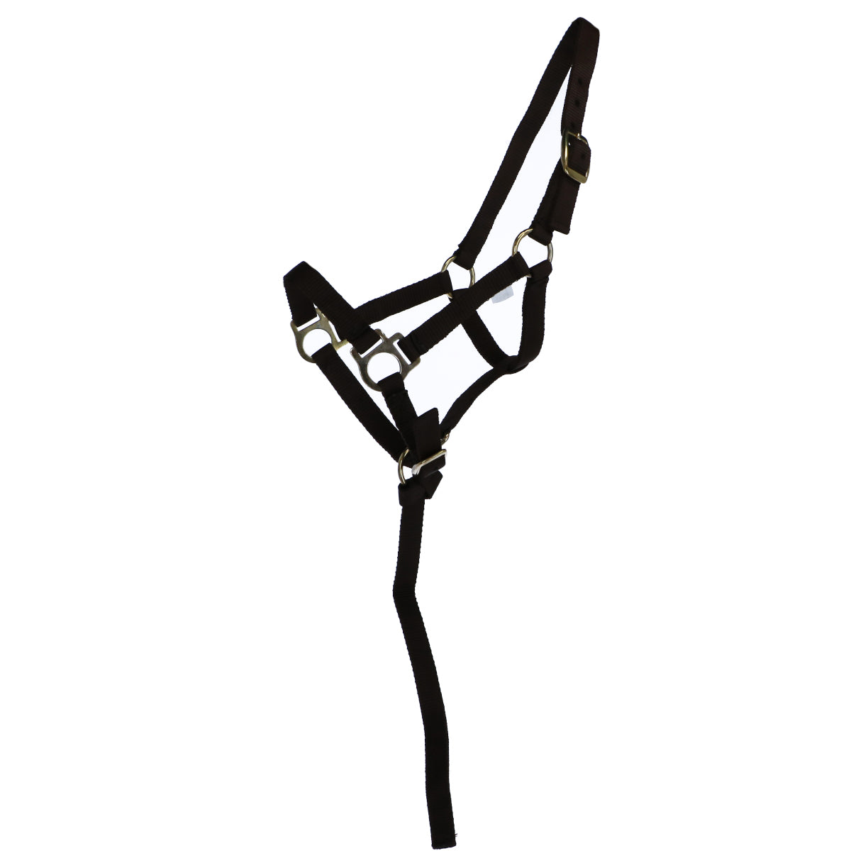 Norton Capezzina Marrone