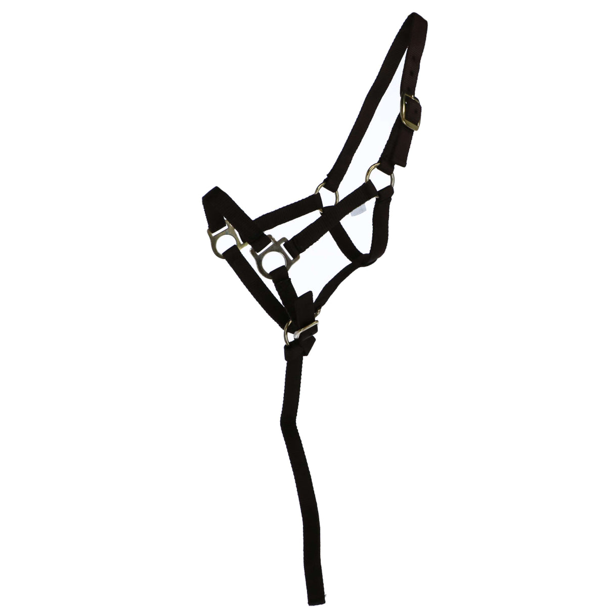 Norton Capezzina Marrone