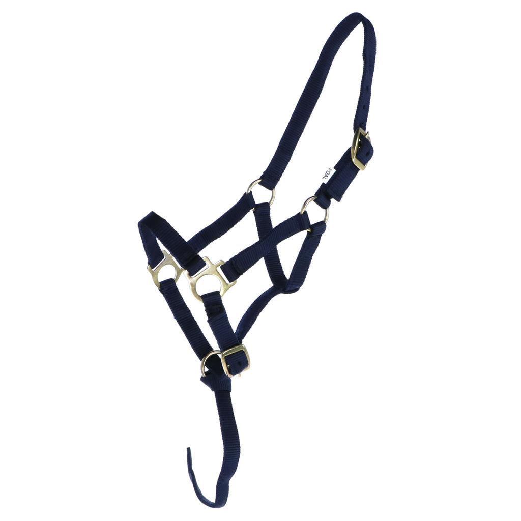 Norton Cavezza per Puledro con Linea Navy