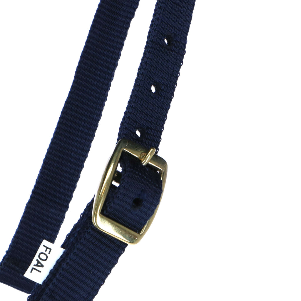 Norton Cavezza per Puledro con Linea Navy