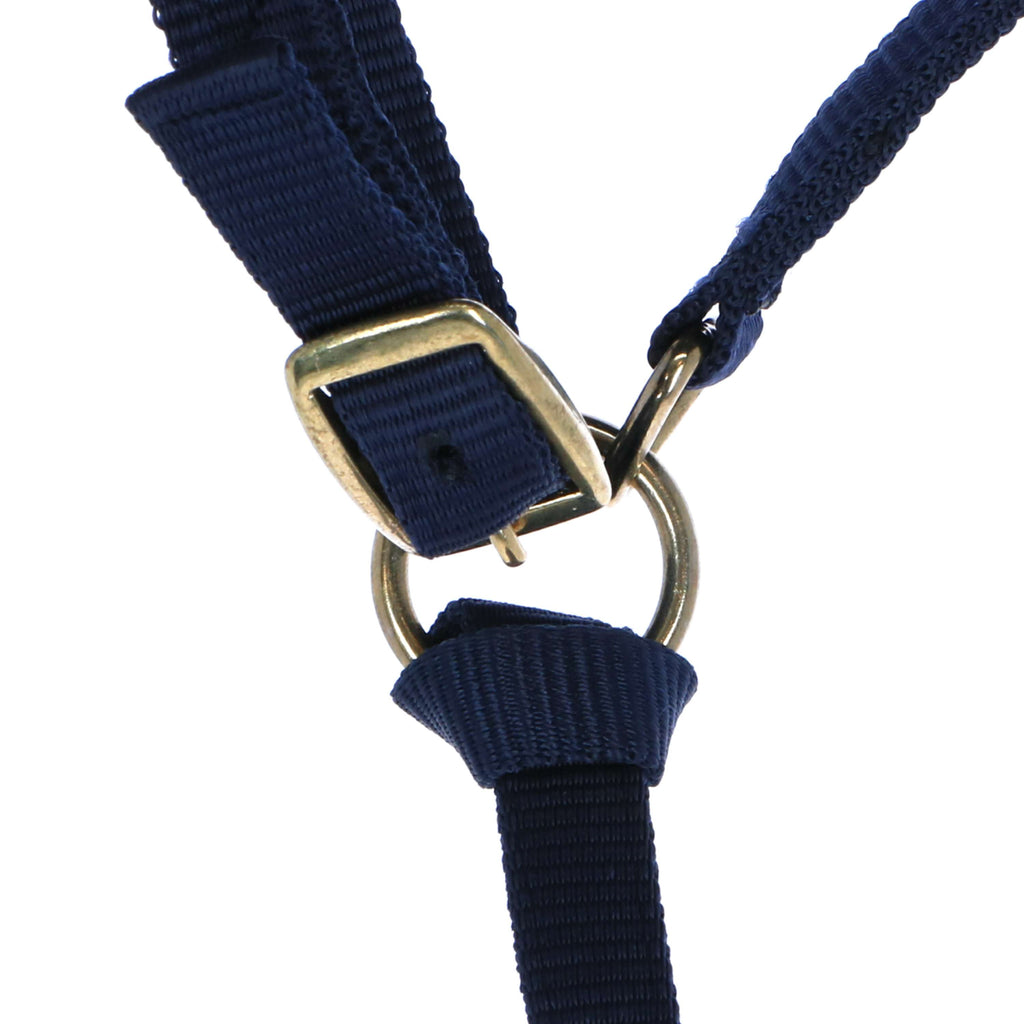 Norton Cavezza per Puledro con Linea Navy