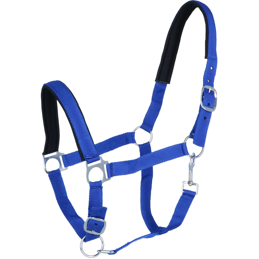 Norton Capezza Foderato con Neoprene Blu reale