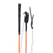 Whip & Go Bastone Etologico Arancia