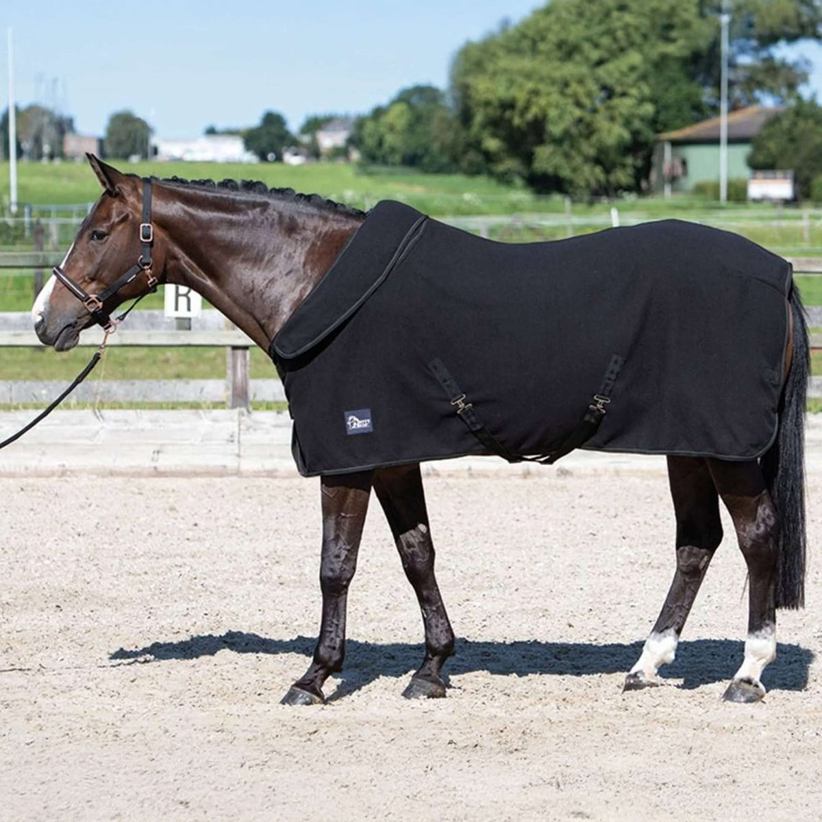 Harry's Horse Coperta in Pile Nero