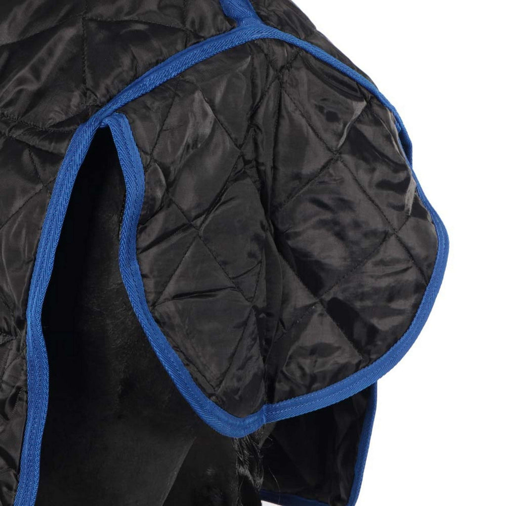 Catago Coperta da scuderia 300g Nero/Blu