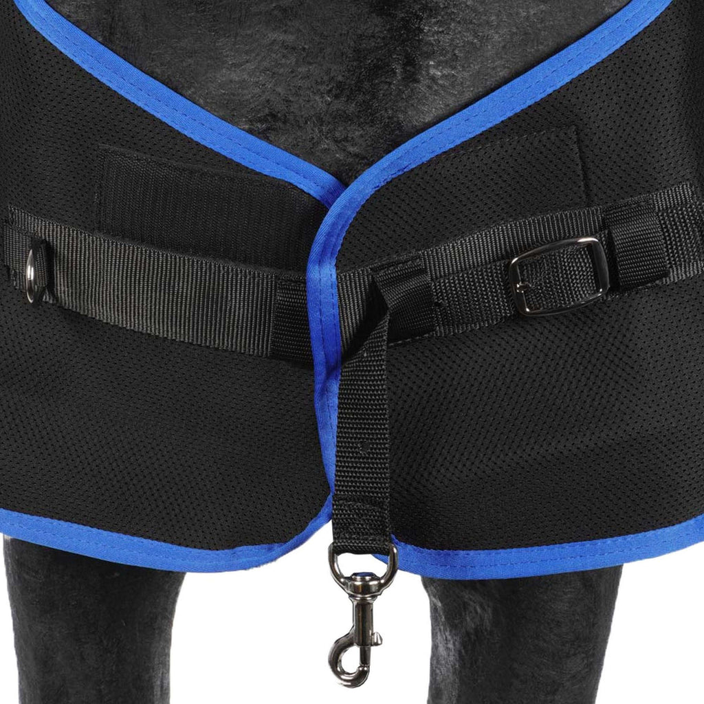 Veredus Coperta Terapeutica Magnetik Rug Nero